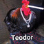 Teodor