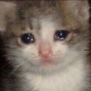 анальный дебошир