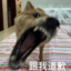 零星