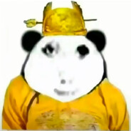 坐拥八百小萝莉