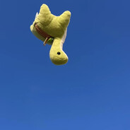 再欺負我轉鍵鼠了！！