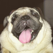 󠁳⁧⁧❃ narcissist