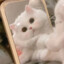 格青石QWQ