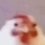 kutak