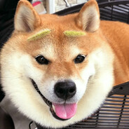 二狗子