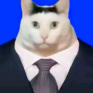 我要微星，我要华硕，