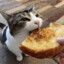 cheese_basket