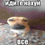A6gwynn