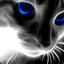 &quot; Im MEow &quot;