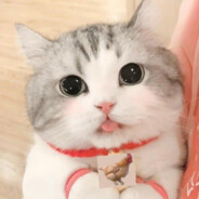 我想吃炸猪排
