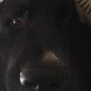 FLÚNS^ ™ - steam id 76561198126829760