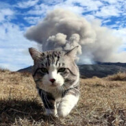 她说带了不算给