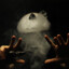 grzes_21