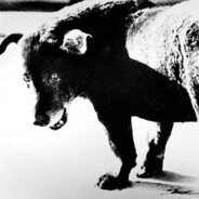 孤独な旅行者(sadventure)