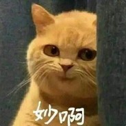 芝士猫
