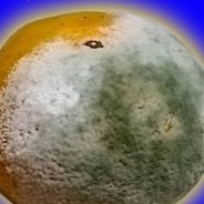 tetsu37