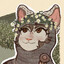 Avatar of fursov