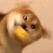 她的密道里有客人