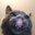 sanskuli