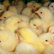 我要开始装逼了！你们快闪开！