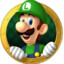 The Luigi Lover