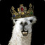 Sam the Llama