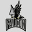 ♛FALCON♛