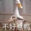 Winnie酱