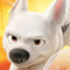 BoltTheSuperDog45