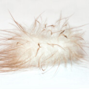 хули бумбули