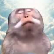 bobigre avatar