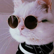 私の名前はビクターで