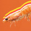 ShrimpCocktail