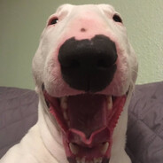 oog oog monkey mode engaged