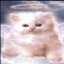 qwwskq's avatar