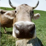 Mizz_Zulu - steam id 76561197965742506