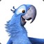 Blu