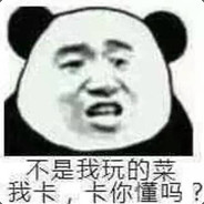 没有理解，全靠运气