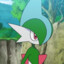 Gallade (all pronouns)