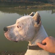 我是真的不会打手枪