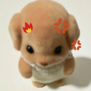 21岁清纯双马尾母蟑螂