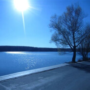 超级无敌迅猛熊