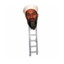 osama bin ladder