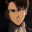 levi