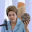 DILMA MANDIOQUEIRA