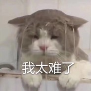 还未见过北凉雪，还未