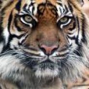 /\/\¦8o - $/\/\ALl\/\/ACk-|Dk|