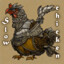 Slow_Chicken