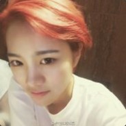 Trump king back for 2024