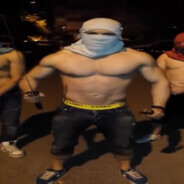 bogdahn. avatar